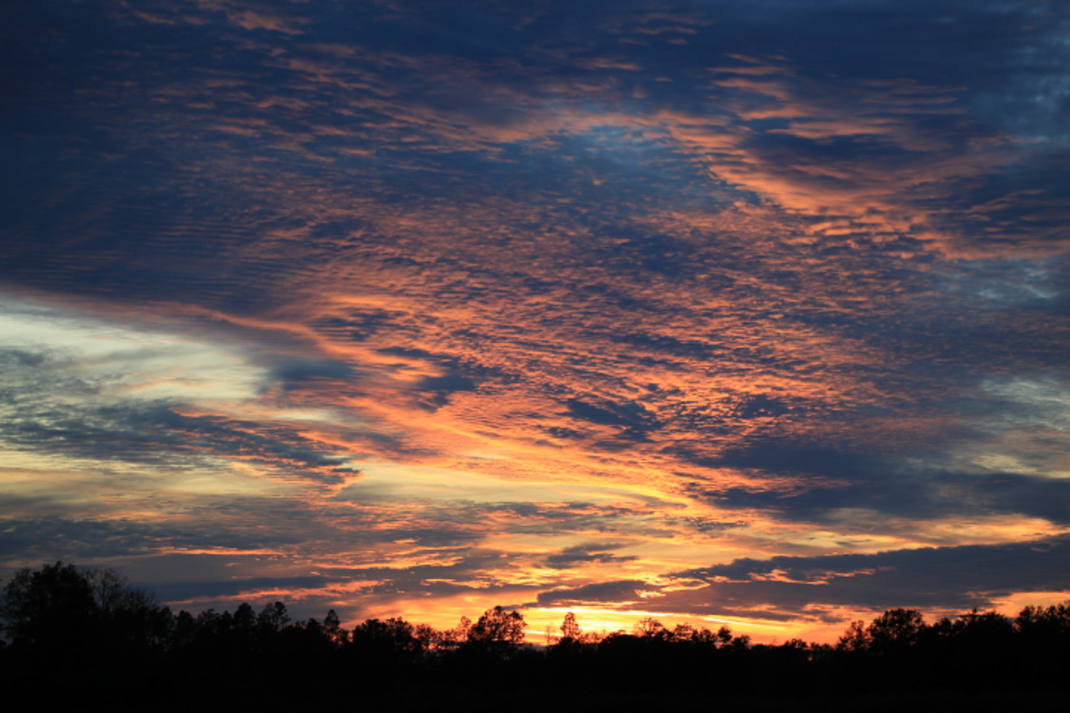 Landscape Photography