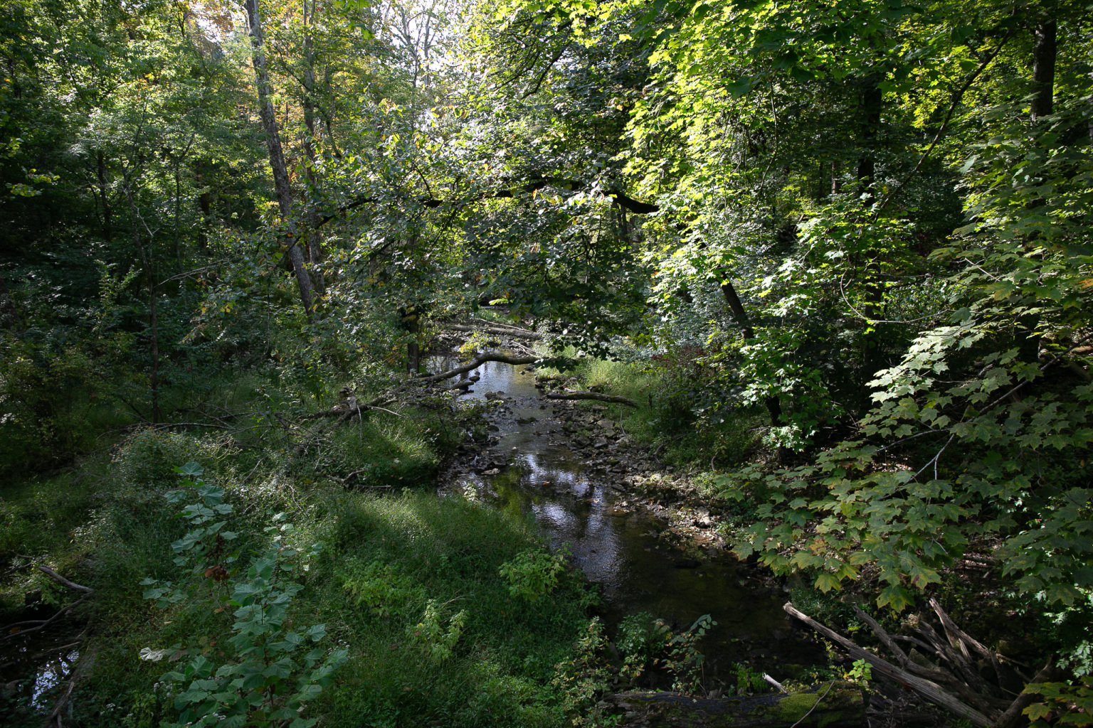 Landscape Photography