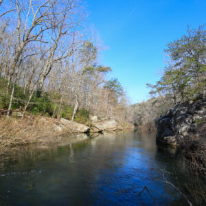 Alabama Afternoon #2