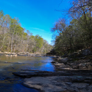 Alabama Afternoon