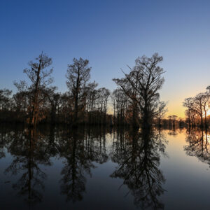 Louisiana Sunset