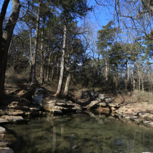 Texas Spring