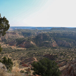 Texas Valley