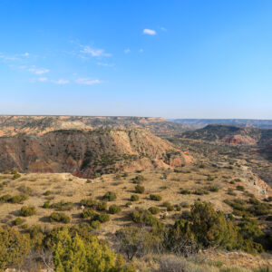 Texas Scapes