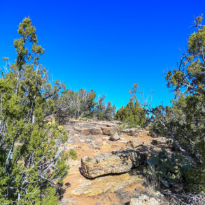 Texas Hike #2