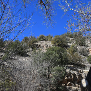 Texas Hike