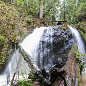 Northern Cali Falls
