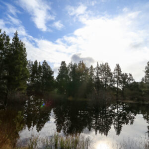 Northern Cali Morning #2