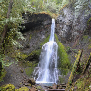 Olympic Forest Falls